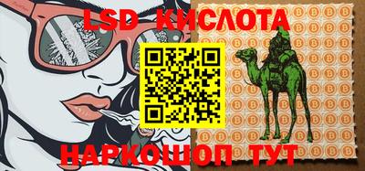 спиды Новодвинск