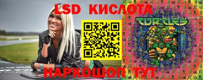 тгк Новозыбков