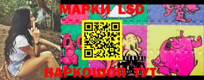 тгк Новозыбков