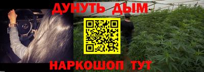 спиды Новодвинск