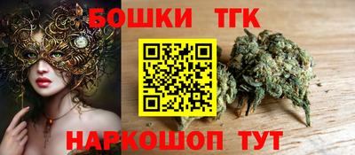 спиды Новодвинск