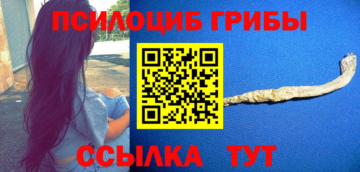 Псилоцибиновые грибы ЛСД  закладка  Саранск  Вход с VPN 